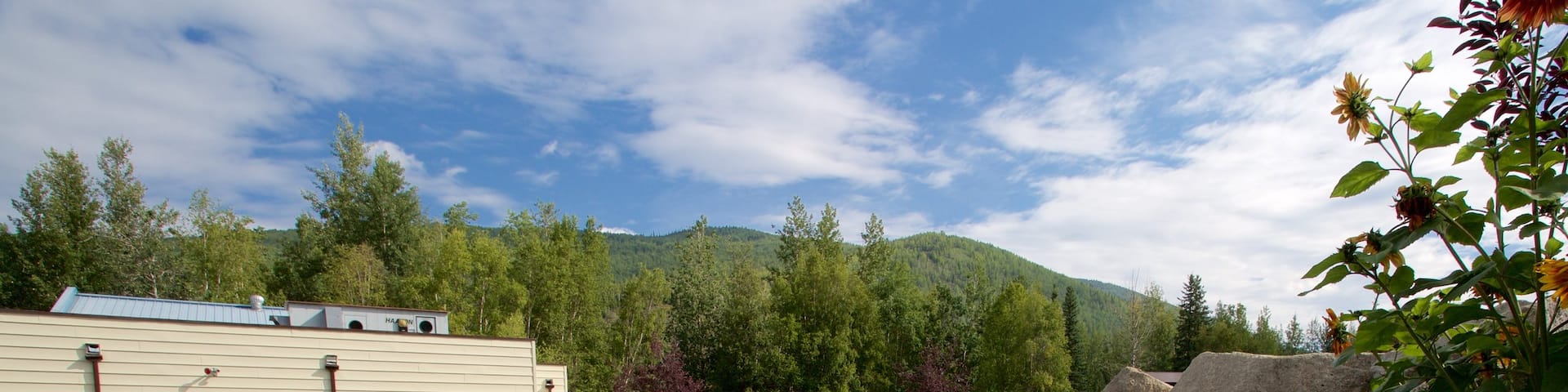 Chena Hot Springs showing a pool and a park as well as a small group of people