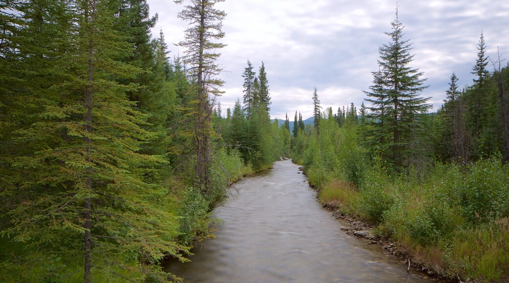 Chena Hot Springs presenterar en å eller flod och skogar