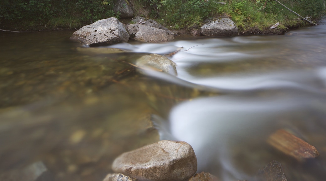 Chena Hot Springs montrant rivière ou ruisseau