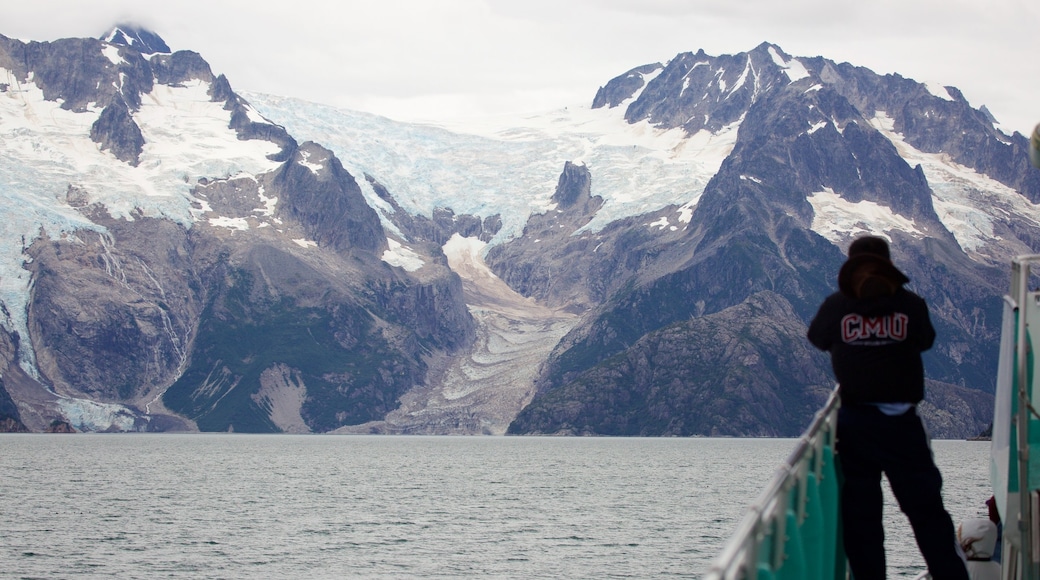 Kenai Fjords National Park che include neve, vista della costa e montagna