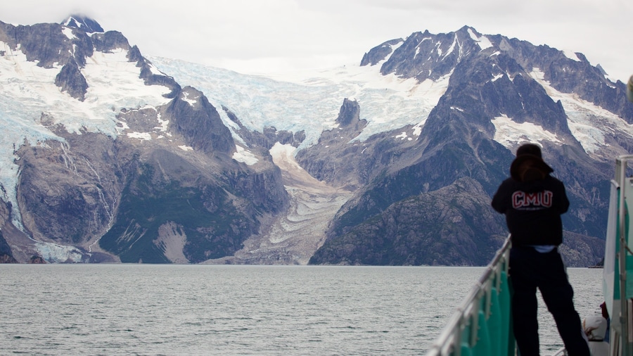 Kenai Fjords National Park featuring snow, mountains and general coastal views