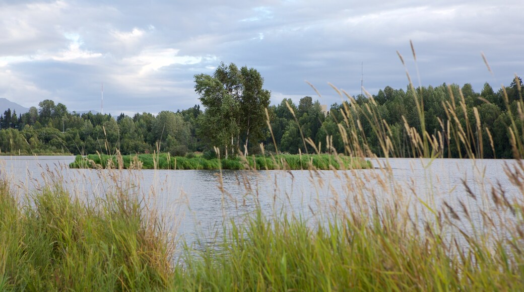 Tony Knowles Coastal Trail showing a river or creek