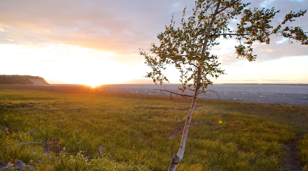 Tony Knowles Coastal Trail che include paesaggi rilassanti e tramonto