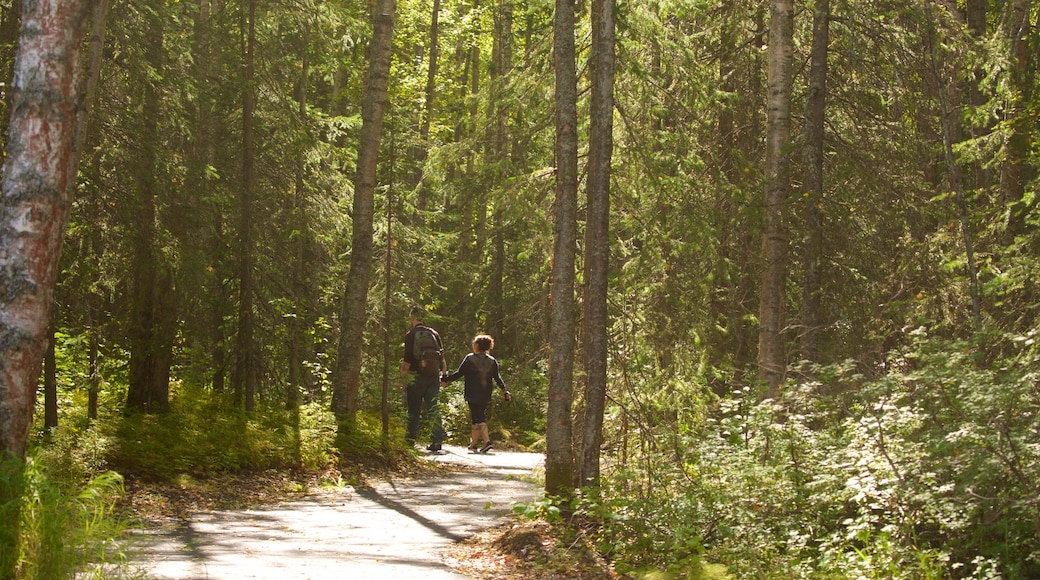 Botanische tuin van Alaska bevat bossen