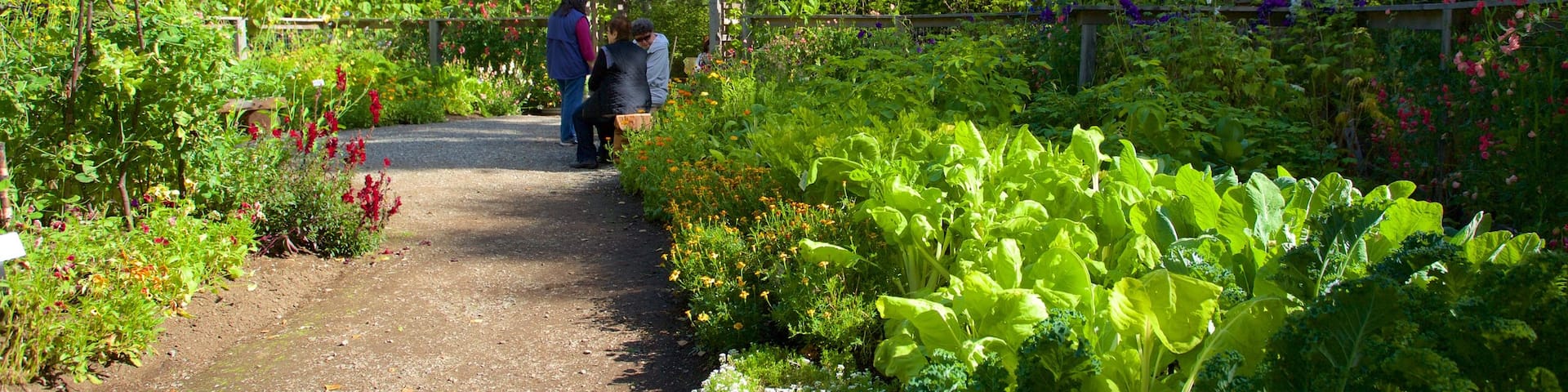 Alaska Botanical Garden que incluye un jardín