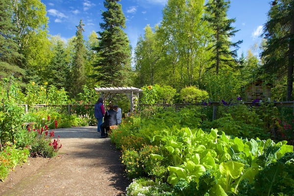 Jardin botanique, Alaska qui includes parc