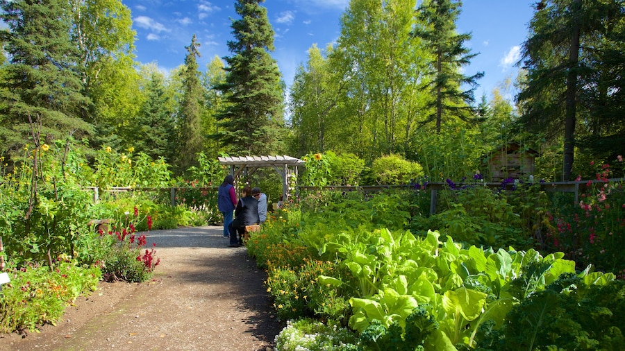 Alaska Botanical Garden som visar en trädgård