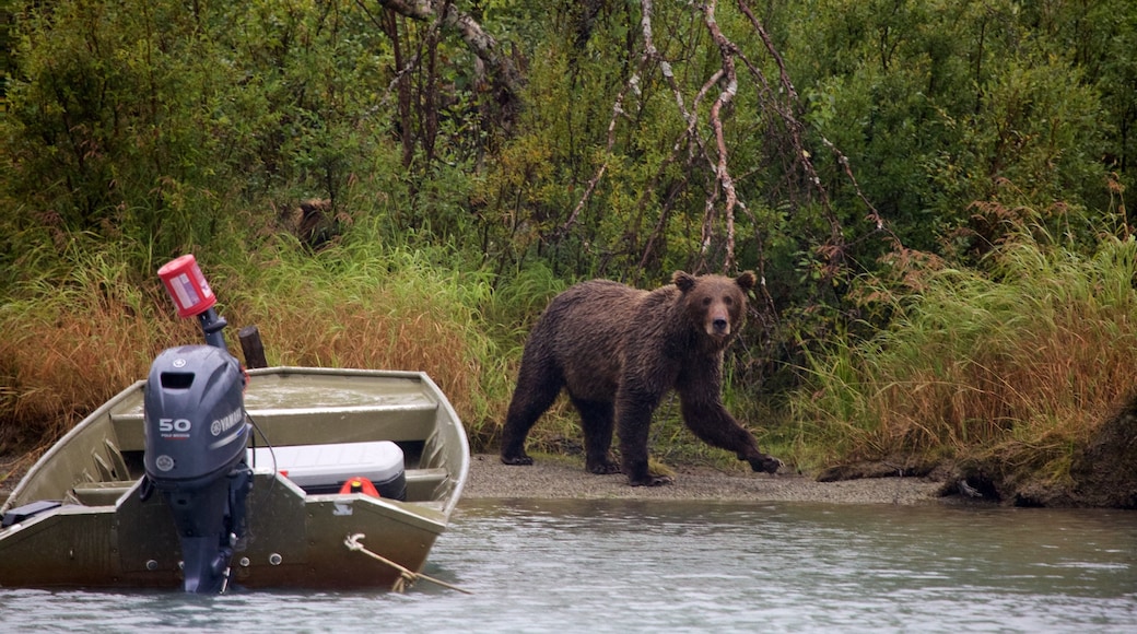 Parque Nacional y Reserva del Lago Clark mostrando animales peligrosos y animales terrestres