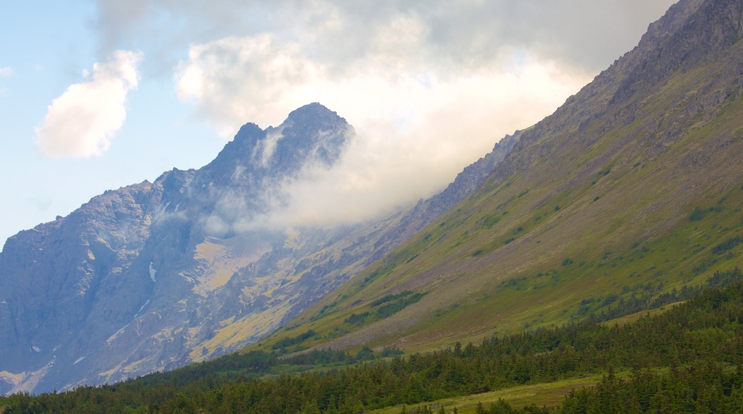 Flattop Trail showing mountains