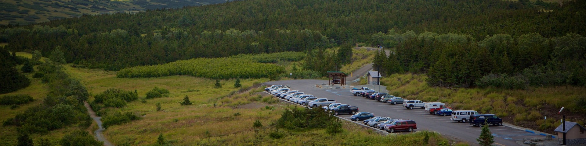 Flattop Trail showing forests