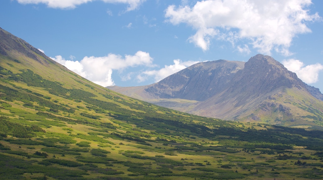 Flattop Trail showing mountains