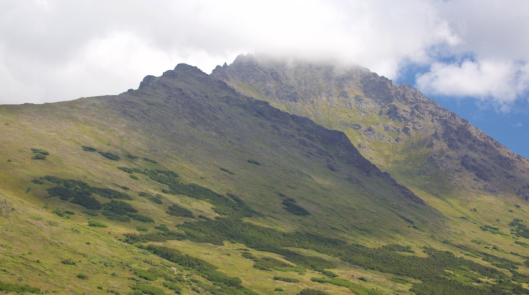 Flattop Trail toont bergen