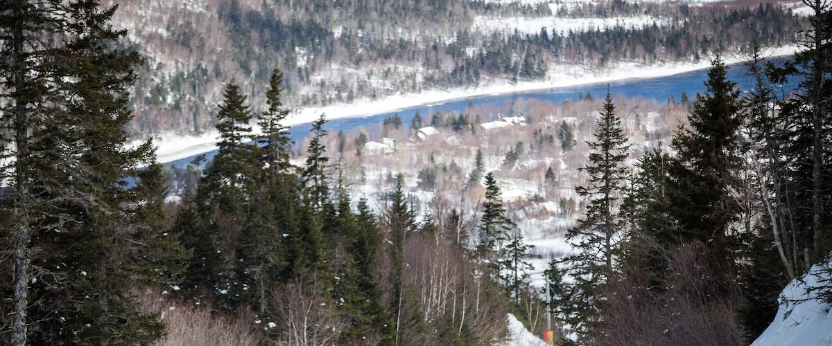 Marble Mountain featuring snow and forests