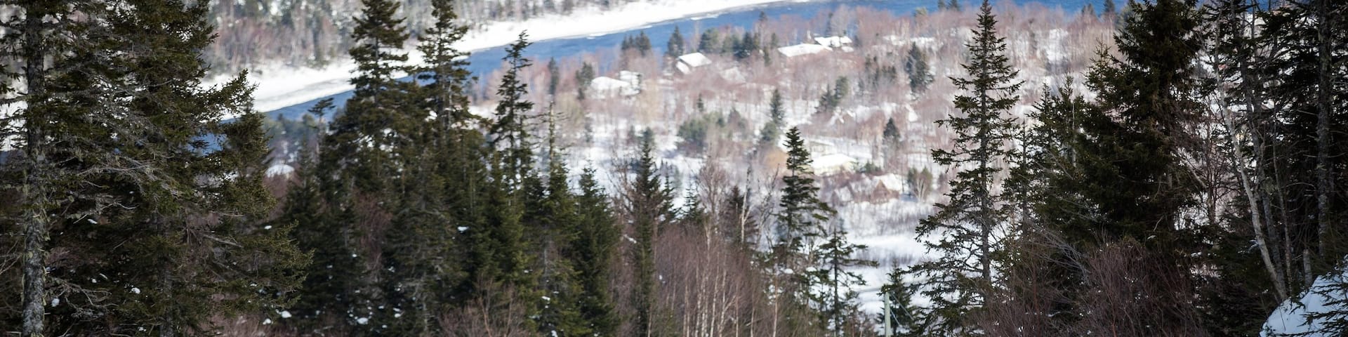 Marble Mountain welches beinhaltet WĂ€lder und Schnee
