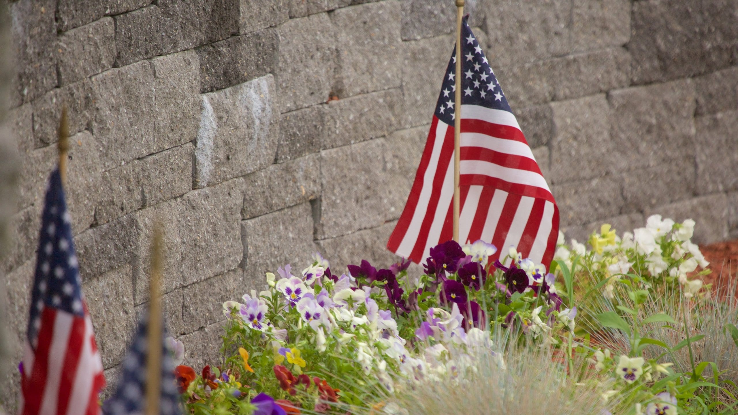 Burlington showing flowers and a park