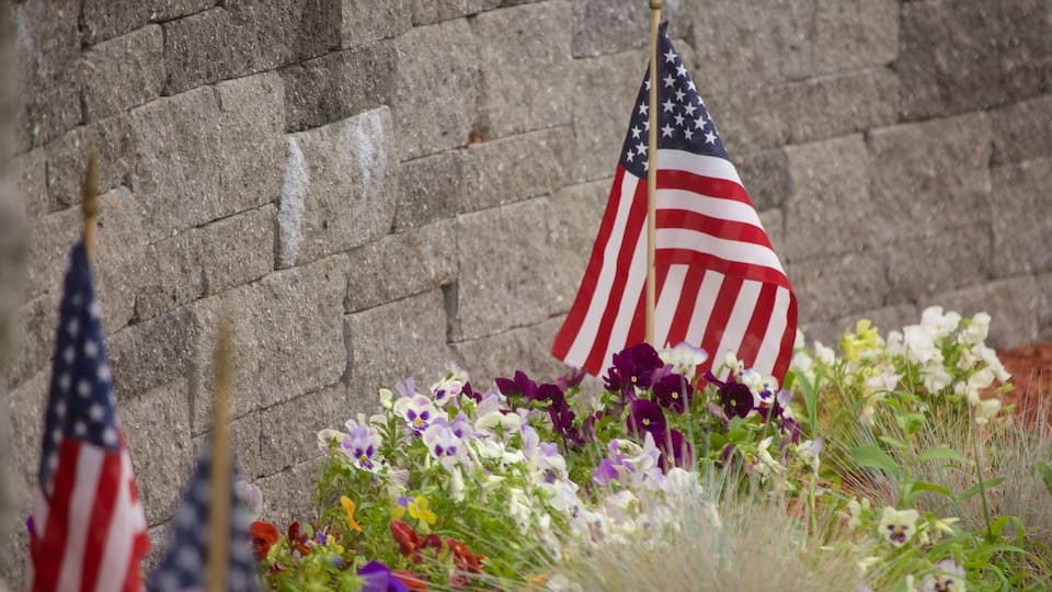 Burlington showing flowers and a park