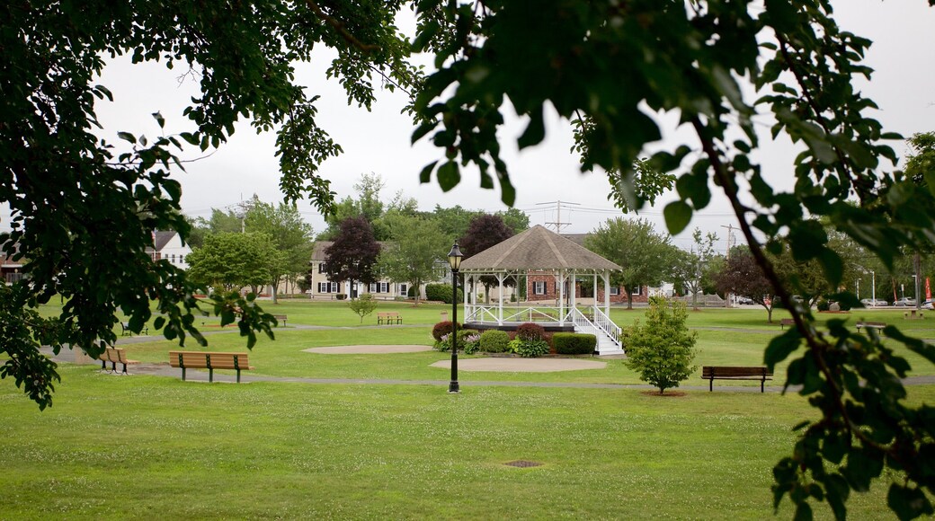 Burlington showing a garden