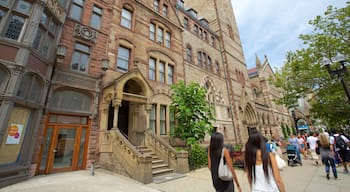 Back Bay das einen Stadt, historische Architektur und Straßenszenen