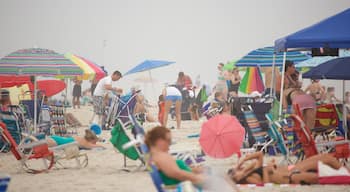 Atlantic City montrant vues littorales et plage de sable aussi bien que important groupe de personnes