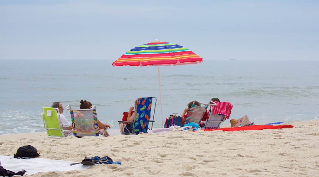 Jersey Shore featuring a beach as well as a large group of people
