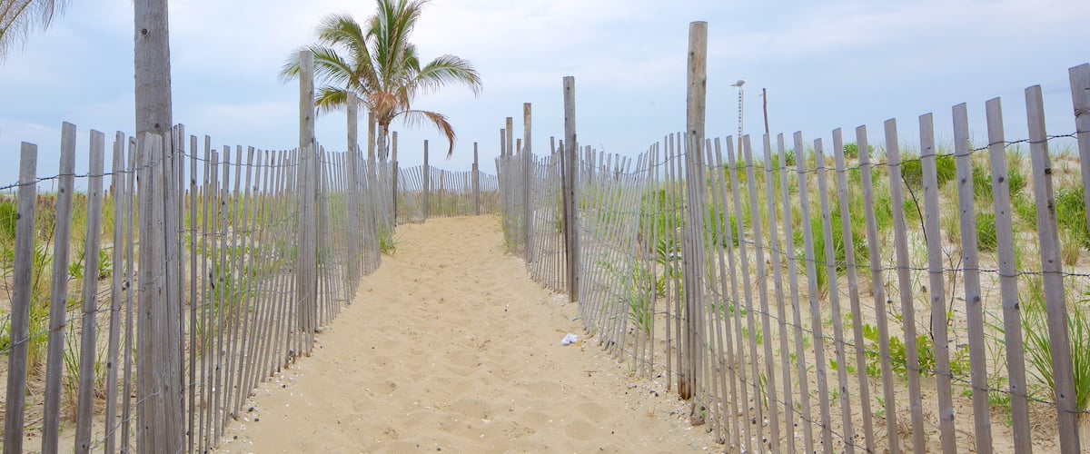Atlantic City featuring tropical scenes and a sandy beach