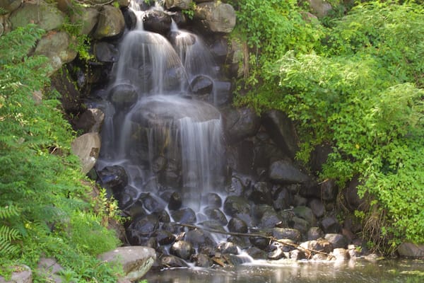 Duke Gardens welches beinhaltet Regenwald und Kaskade