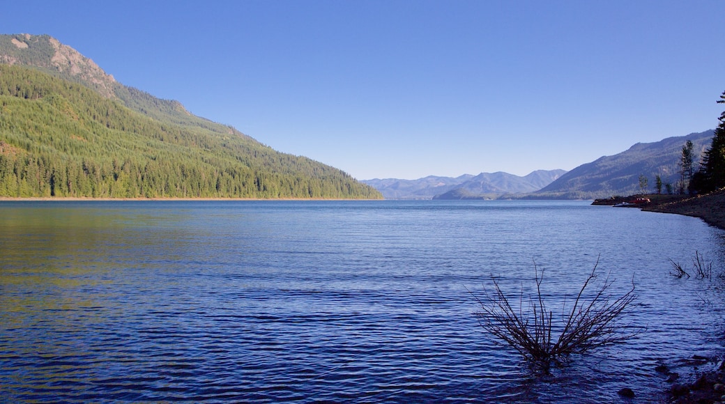 Central Washington mostrando fiume o ruscello