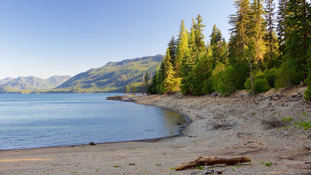 Centre de Washington mettant en vedette plage et scènes forestières