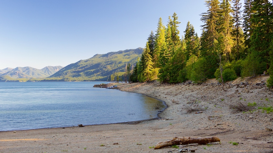Washington ofreciendo una playa de arena y bosques