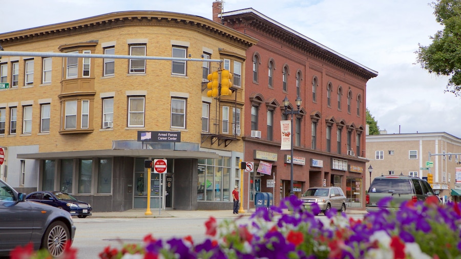 Waltham which includes street scenes