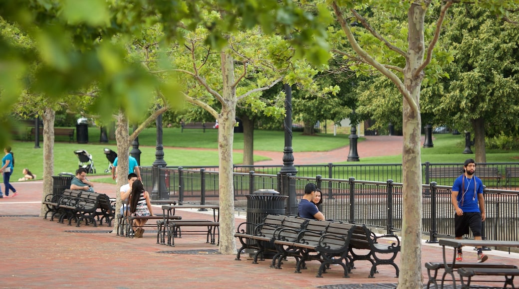 East Boston mostrando un parque