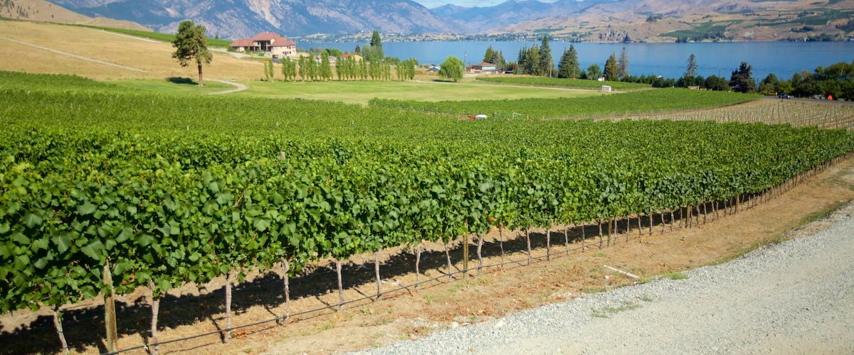 Chelan showing farmland