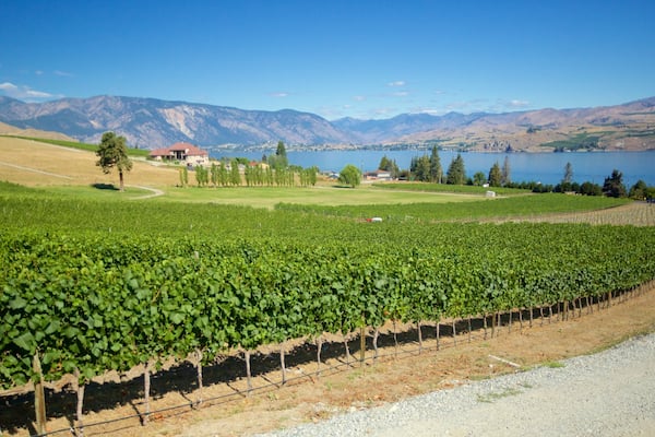Chelan caratteristiche di terreno coltivato
