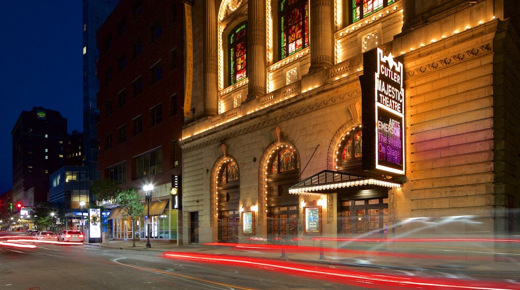 Distrito teatral que incluye escenas de noche y señalización