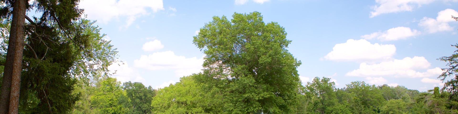 Duke Gardens featuring a pond and a park