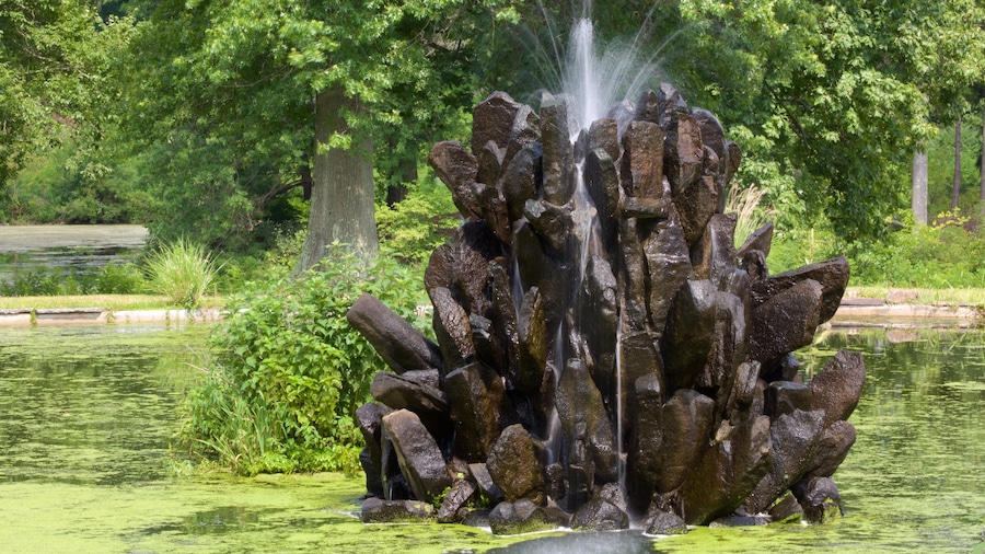 Duke Gardens featuring a park, a pond and a fountain