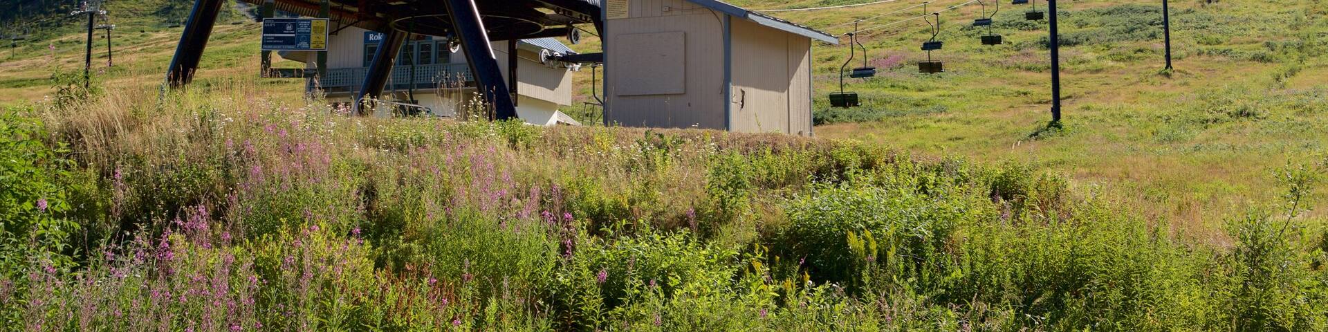 Summit at Snoqualmie Summit Central showing a gondola