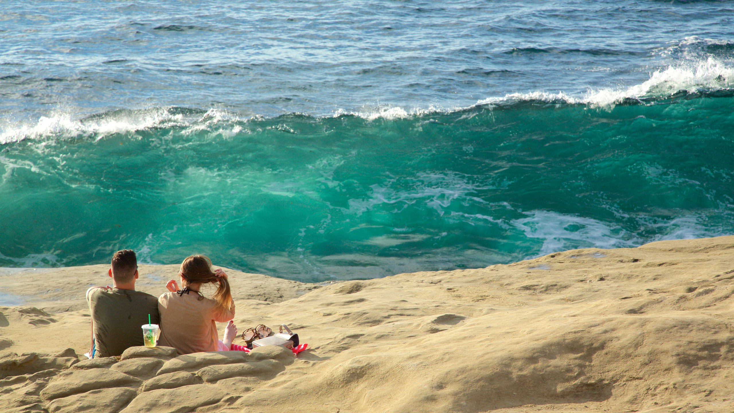 La Jolla showing general coastal views, rugged coastline and picnicing