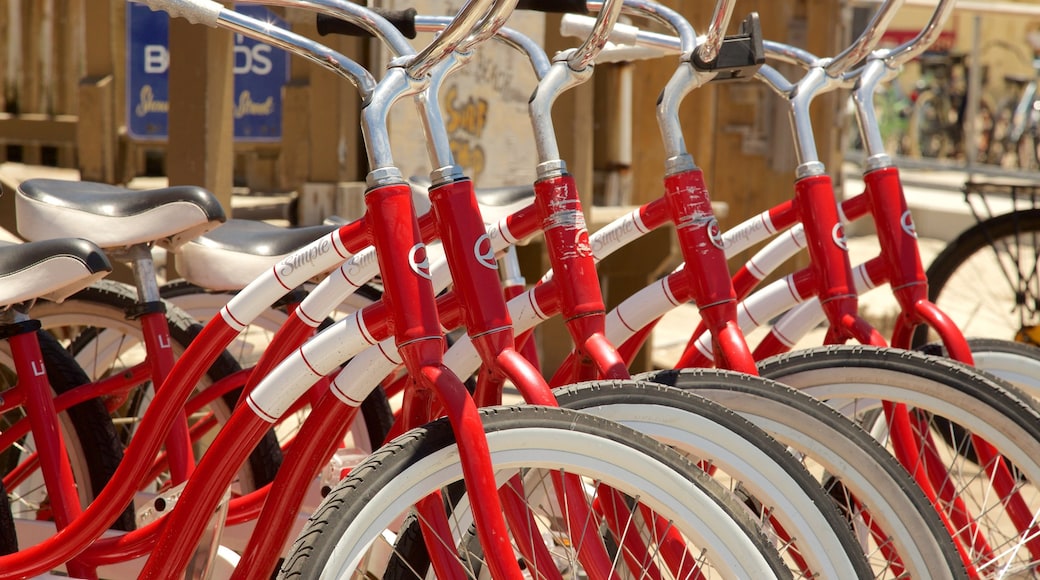 Pacific Beach Park mit einem Fahrradfahren