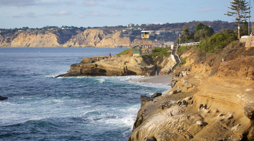 La Jolla Cove which includes general coastal views and rugged coastline