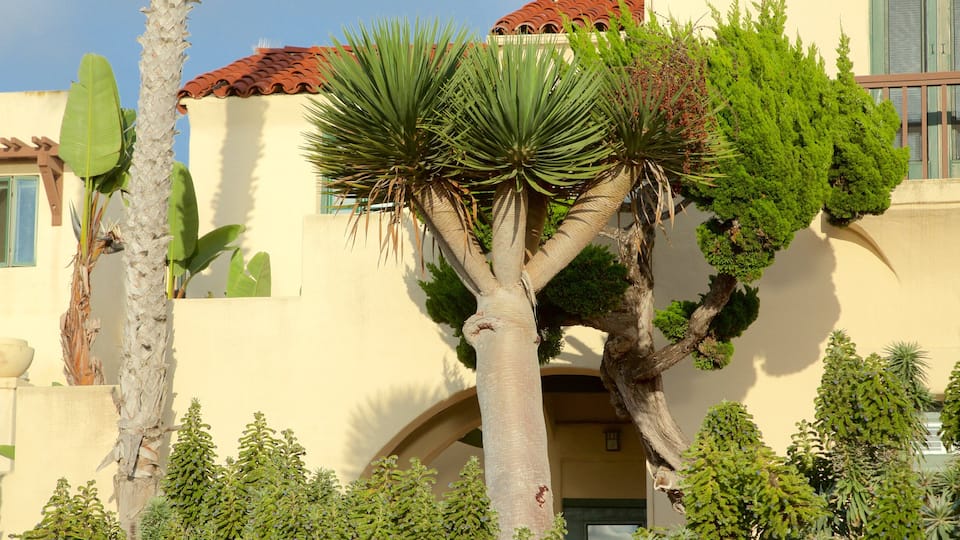 La Jolla
