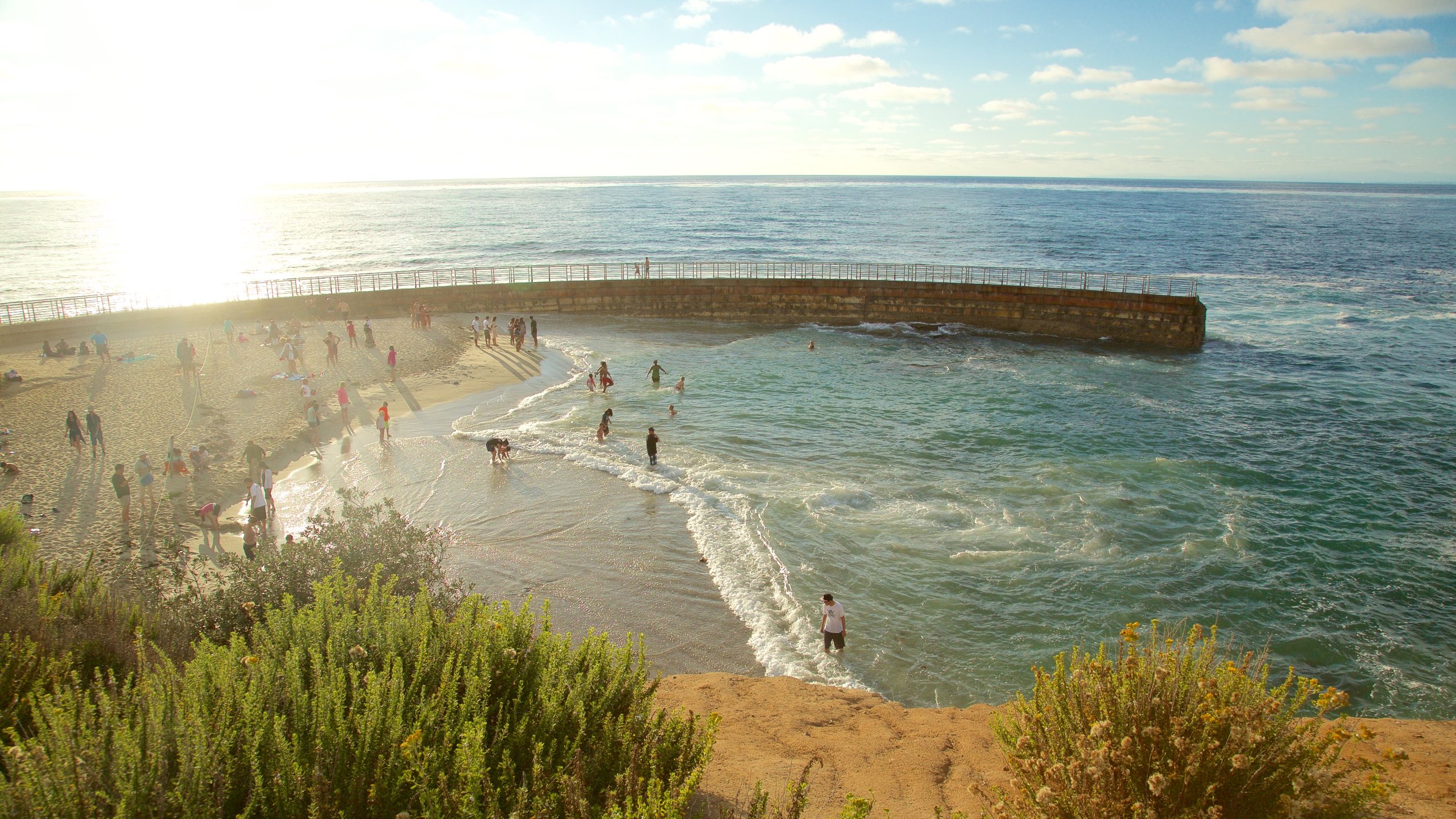 ladies speed dating in la jolla ca