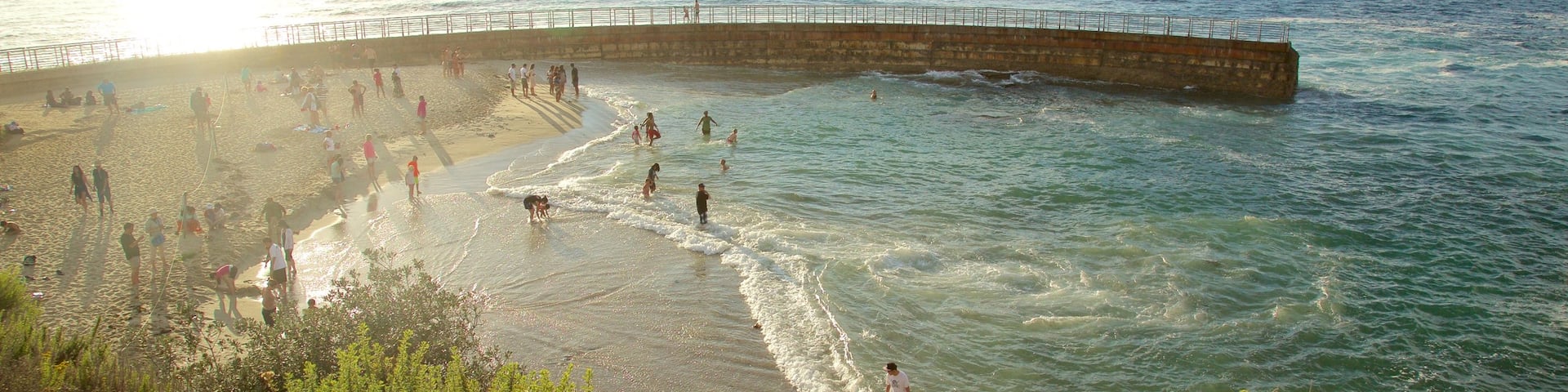 La Jolla showing general coastal views, swimming and a sandy beach