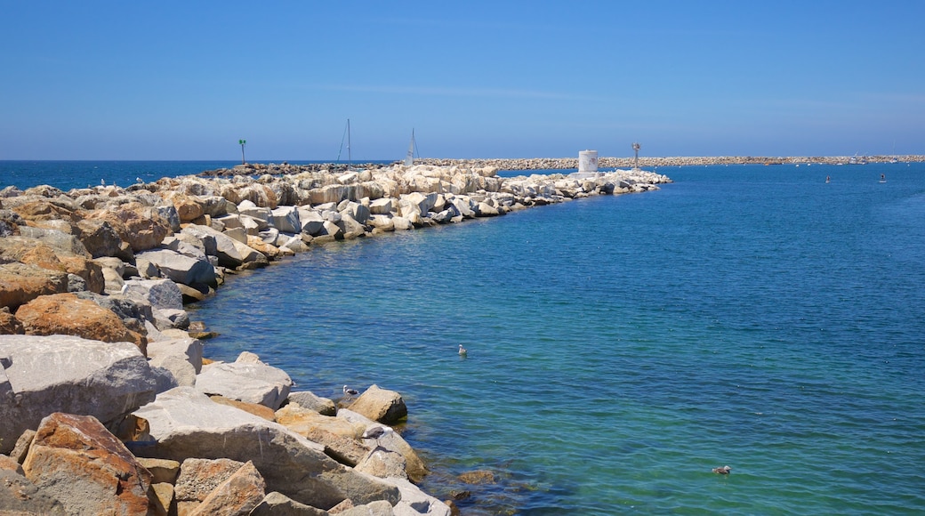 Redondo Beach showing general coastal views