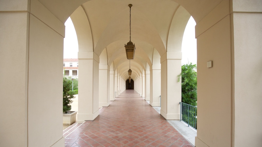 Pasadena
