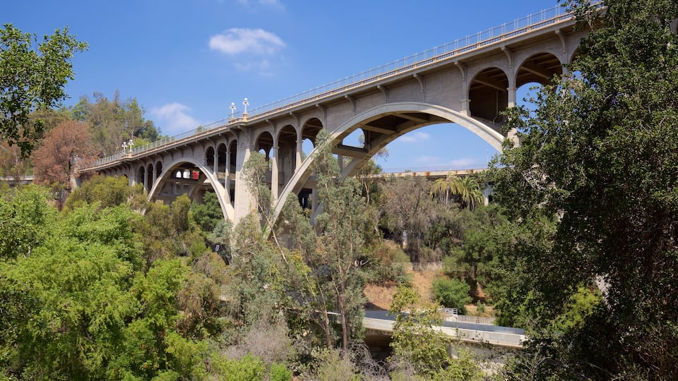 Pasadena qui includes pont