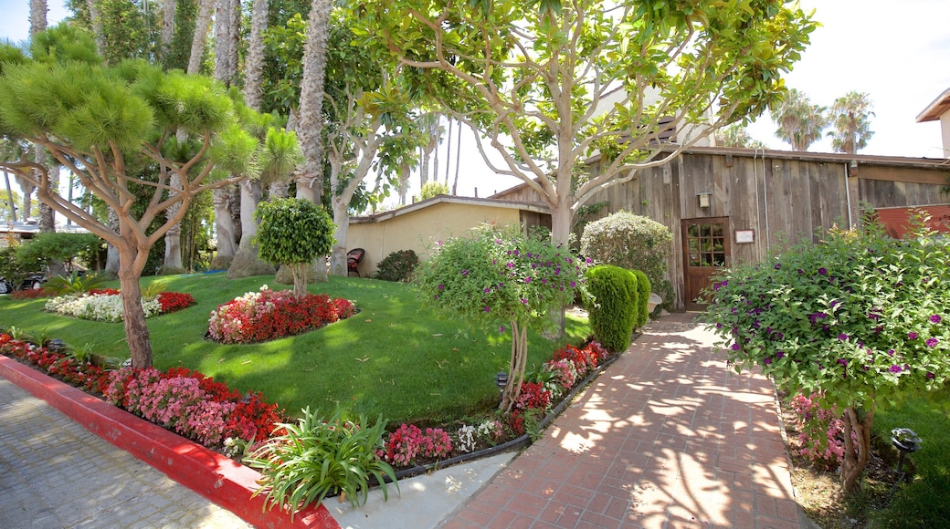 Marina del Rey showing a house and flowers