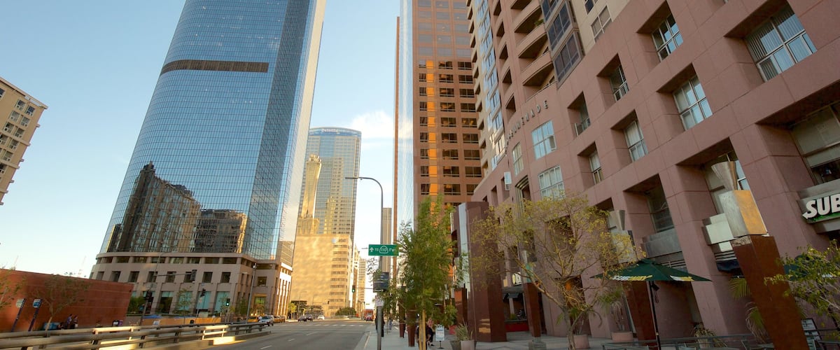 Downtown Los Angeles showing a city