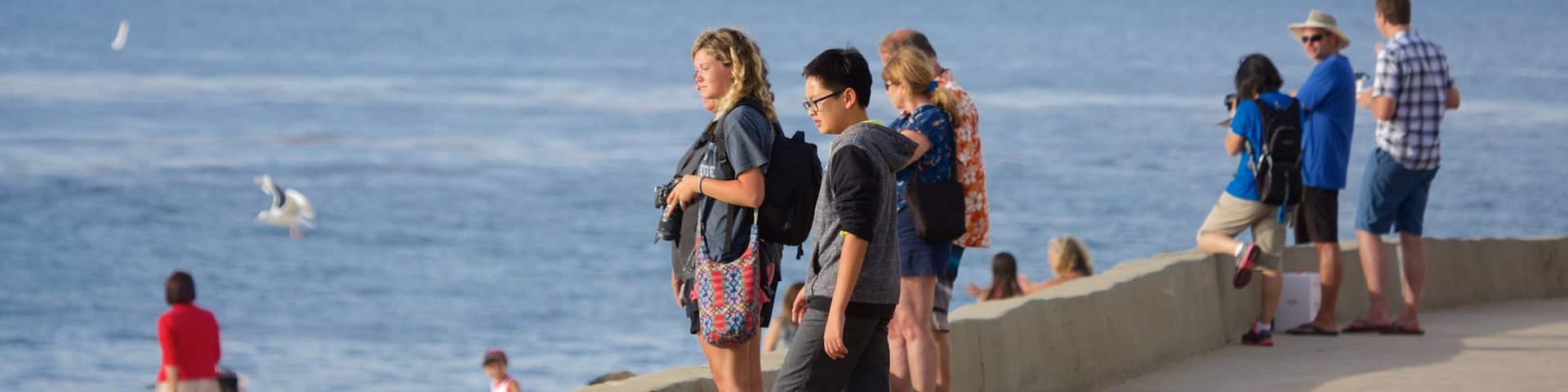 La Jolla Cove as well as a small group of people