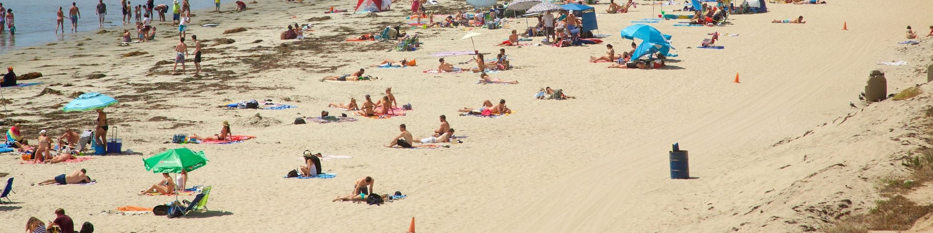 Pacific Beach Park das einen Strand sowie große Menschengruppe